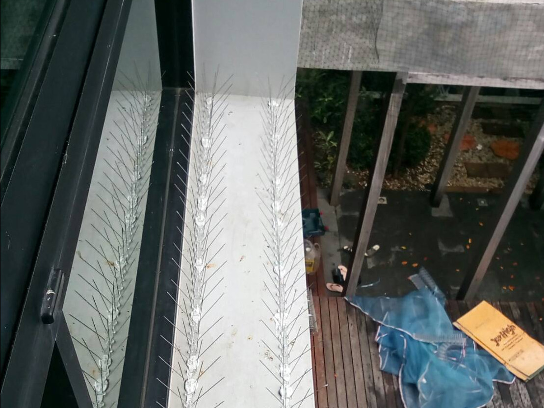 หนามกันนกฐาน Polycarbonate 120 กิ่งต่อเมตร PS001 (ราคาต่อเมตร)