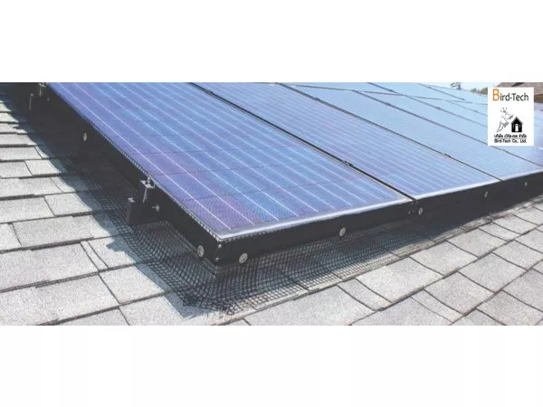 ตาข่ายกันนกกัลวาไนซ์หุ้ม PVC (สีดำ) กว้าง8นิ้วx100ฟุต พร้อมคลิปล็อคแบบ C-Lock (สแตนเลส 304)