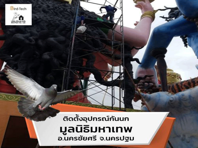 ตาข่ายกันนก