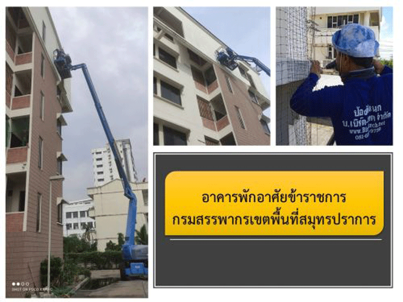 ตาข่ายกันนก