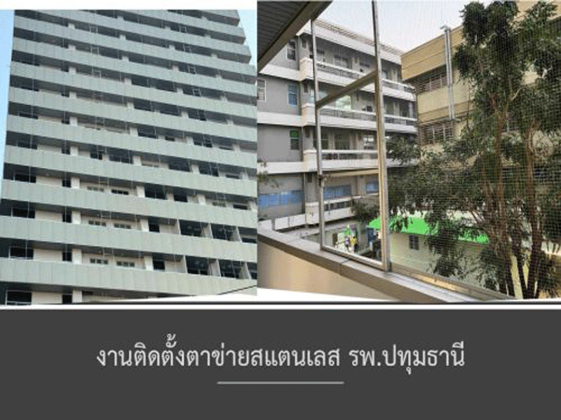 ตาข่ายกันนก