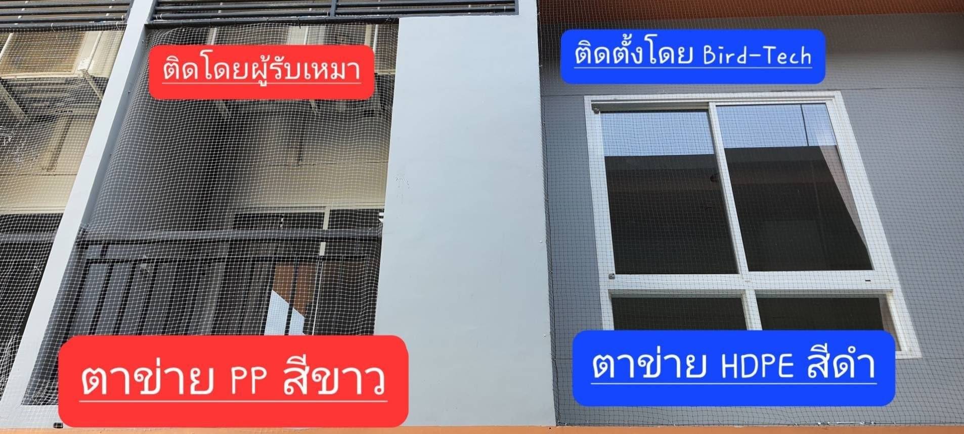 ตาข่ายกันนก
